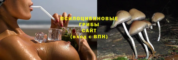 гашик Верхний Тагил