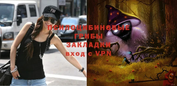 гашик Верхний Тагил