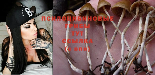 твердый Верея