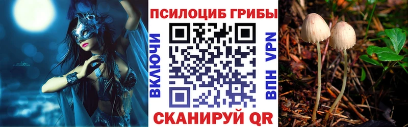 Галлюциногенные грибы Magic Shrooms  Новороссийск 